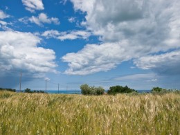 COUNTRY HOUSE TO  RESTORED FOR SALE IN LE MARCHE Ruin for sale in Italy